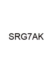Spectrum Reading Grade 7 Answer Key