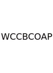 What Costs Can Be Capitalized On A Project