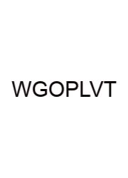 Which Group Of Plants Lacks Vascular Tissue